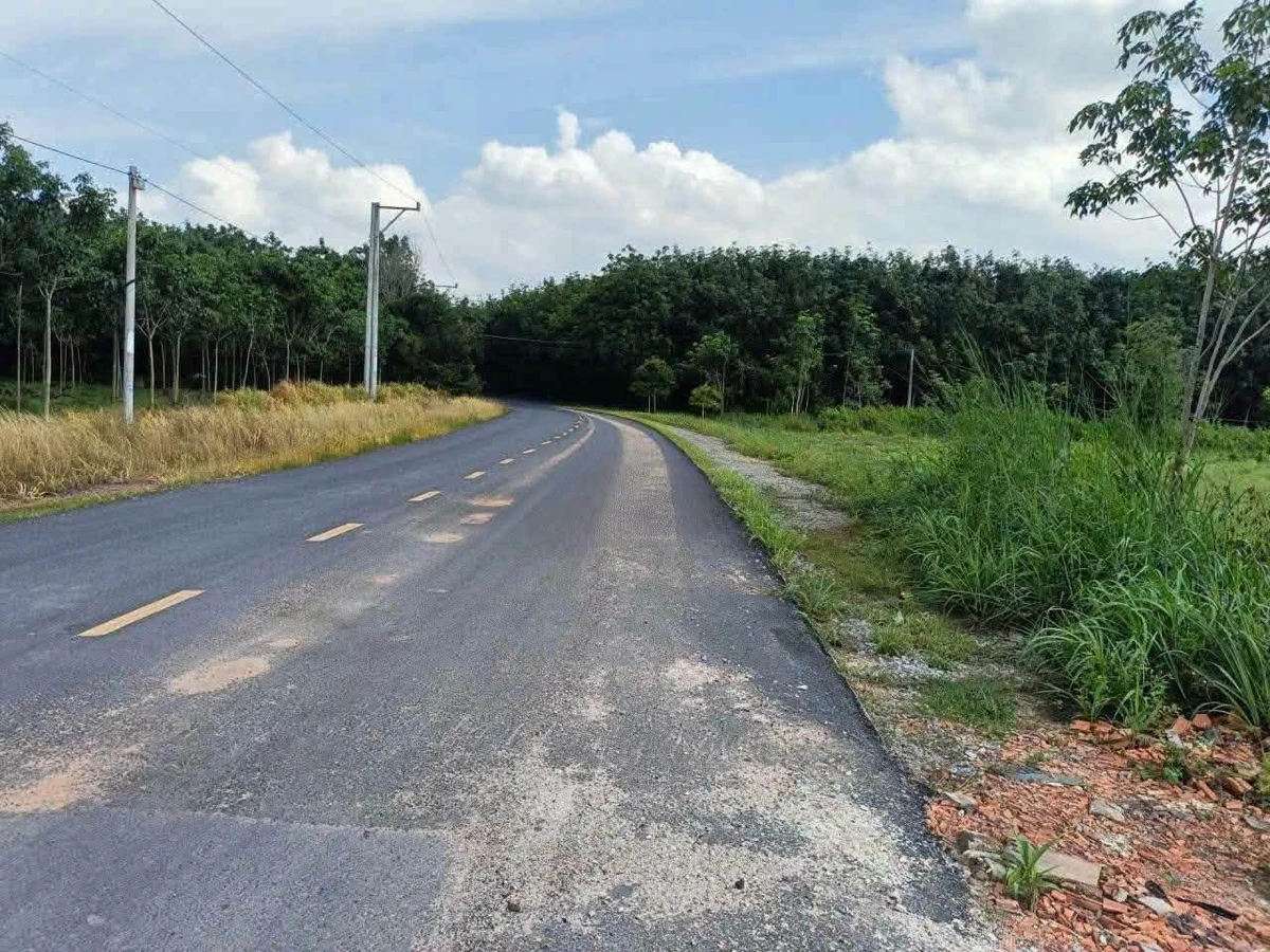 Bán đất Long Nguyên 7.800m2 thổ cư 200m2 - 8 tỷ - Ảnh thu nhỏ 3