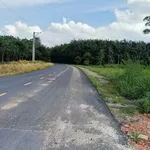 Bán đất Long Nguyên 7.800m2 thổ cư 200m2 - 8 tỷ - Ảnh thu nhỏ 3