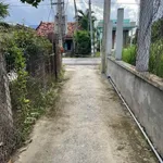 Bán 2 lô đất thổ cư 95m² Phước Tuy, Cần Dước - Ảnh thu nhỏ 3