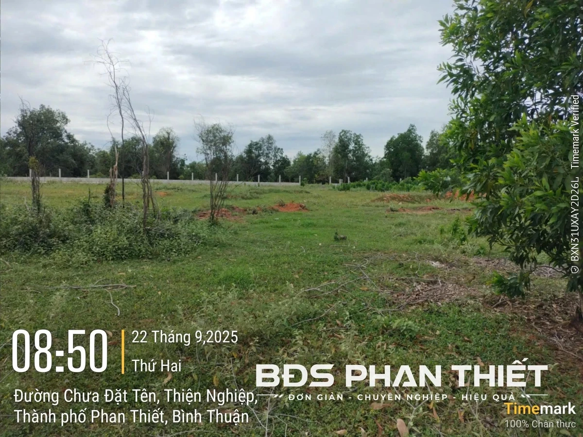 Bán đất mặt tiền Thiện Nghiệp 1000 m² Phan Thiết - Ảnh thu nhỏ 5