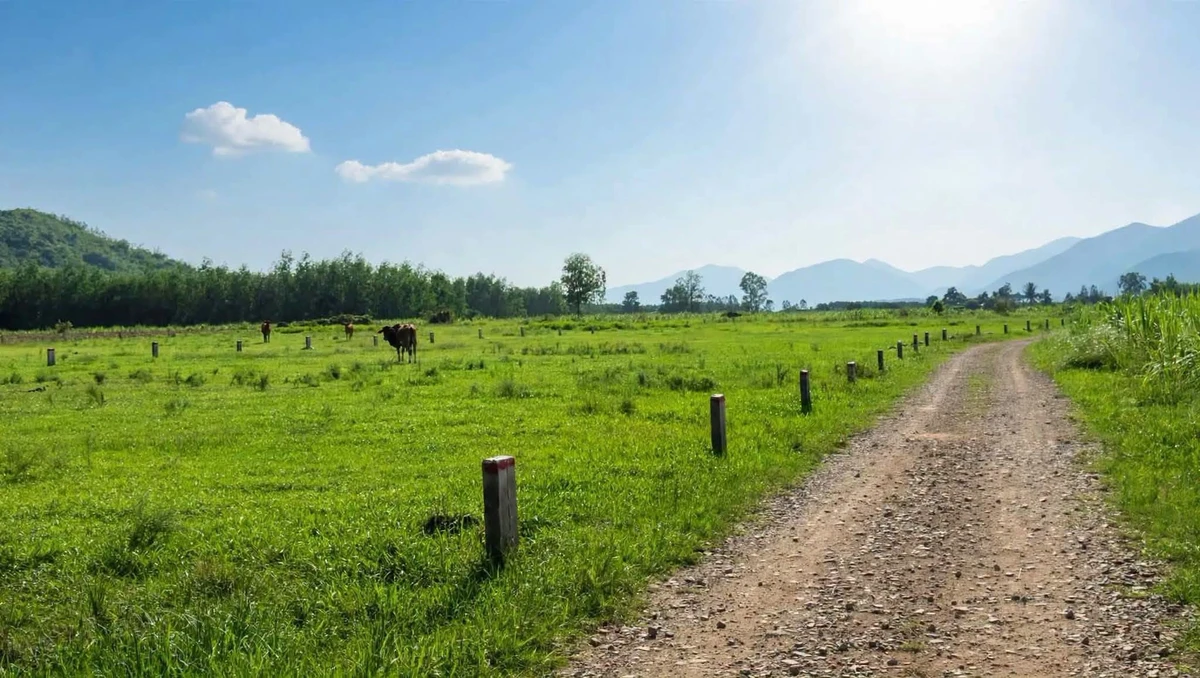 Bán đất thổ cư Ninh Thượng 135-205m2, giá hơn 100 triệu - Ảnh thu nhỏ 2