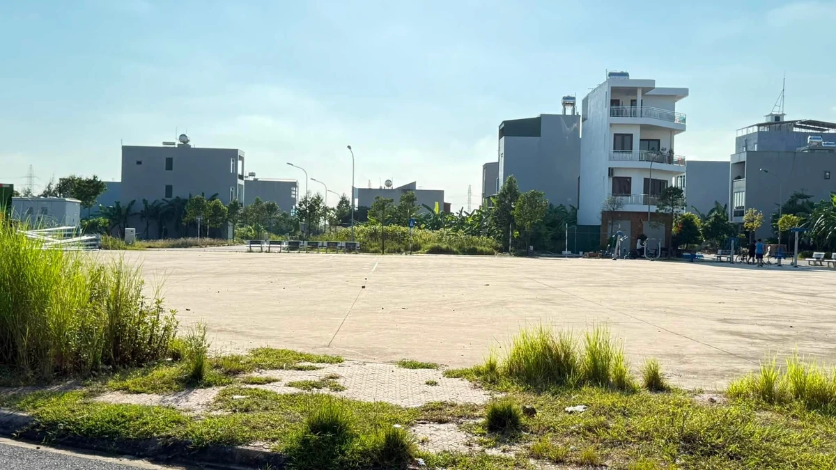 Bán lô đất Khu Đồng Bưởi, Hải Phòng 80m², giá 3 tỷ - Ảnh thu nhỏ 2