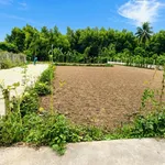 Bán gấp lô đất 120m2 2 mặt kiệt ô tô, ngang 7m tại Hòa Nhơn, Đà Nẵng giá 1,28 tỷ - Ảnh thu nhỏ 1