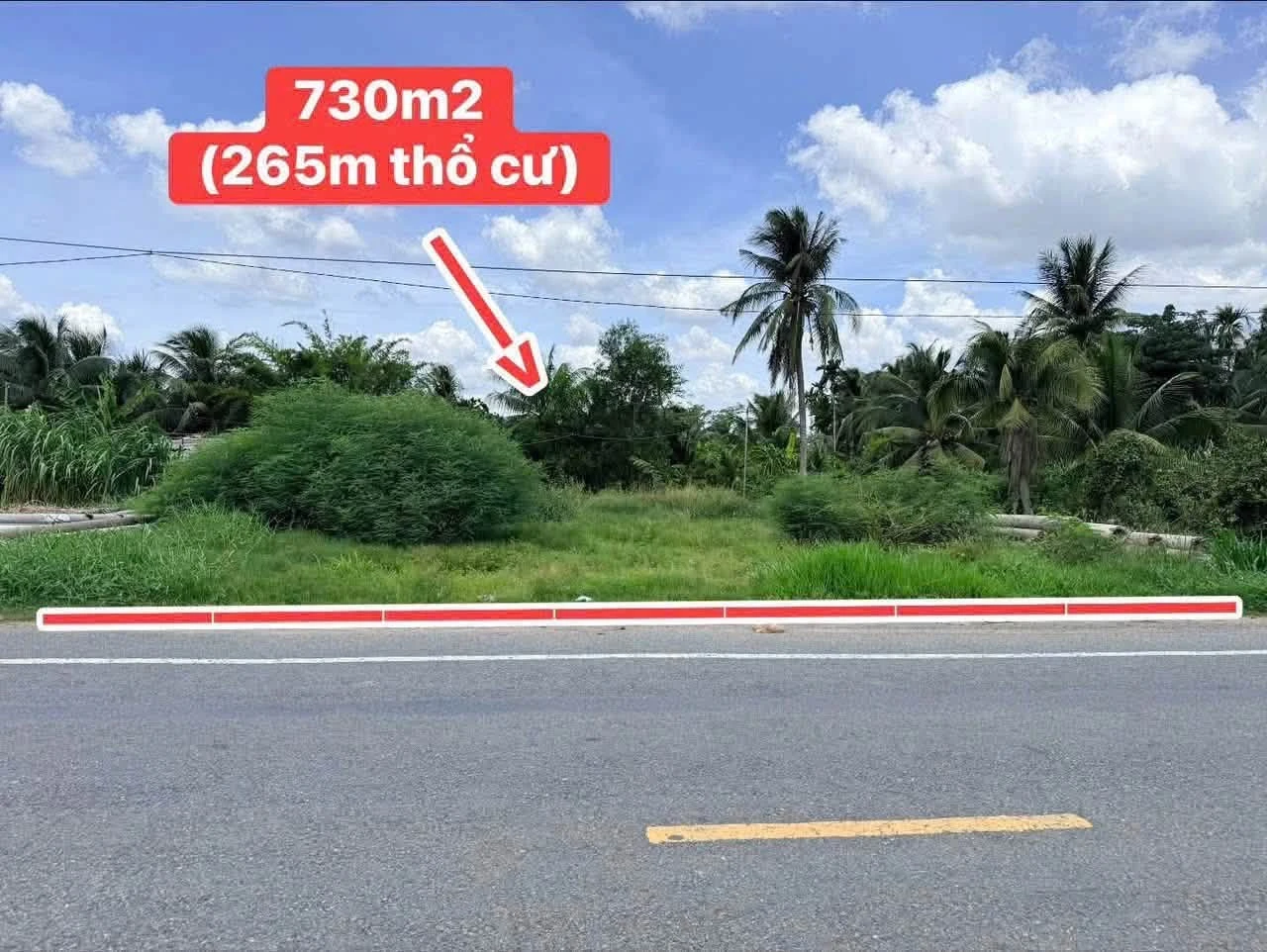 Bán đất mặt tiền HL173 Phú Tân Bến Tre 730m² 3,3 tỷ - Ảnh 1