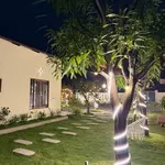 Bán đất vườn có nhà 1.606m² cách Phan Thiết 9km, giá 1 tỷ 850 triệu - Ảnh thu nhỏ 3
