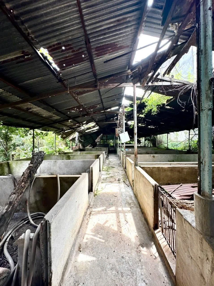 Bán lô đất biệt thự 1.200m² Hố Nai, Bình Dương, 17,5 tỷ - Ảnh thu nhỏ 4