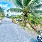 Bán đất thổ cư và đất vườn 757m2 mặt tiền kênh Cây Gia, Bình Đức, Tây Ninh - Ảnh thu nhỏ 1