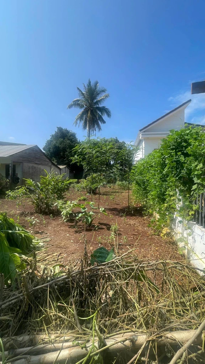 Bán đất mặt tiền Lê Quang Đạo 200m² Bình Chánh - Ảnh thu nhỏ 3