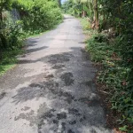 Bán đất tại Mỹ Hòa, Tháp Mười, Đồng Tháp, 6,2 tỷ, 1205 m2 - Hot! View đẹp - Ảnh thu nhỏ 6