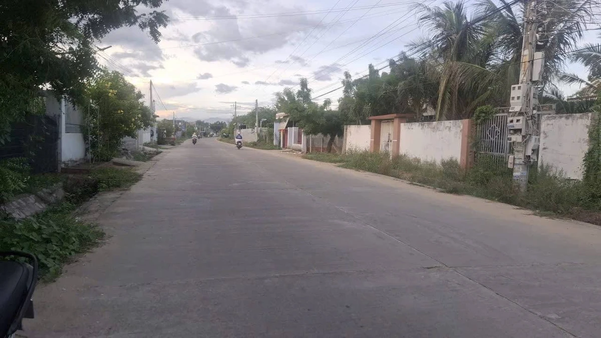 Bán lô đất thổ cư mặt tiền đường An Long 280m² - Ảnh thu nhỏ 3