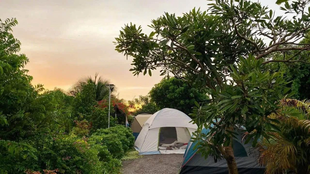 Bán farm 1,6 hecta Ninh Hưng, Ninh Hòa, giá 5,8 tỷ - Ảnh thu nhỏ 5