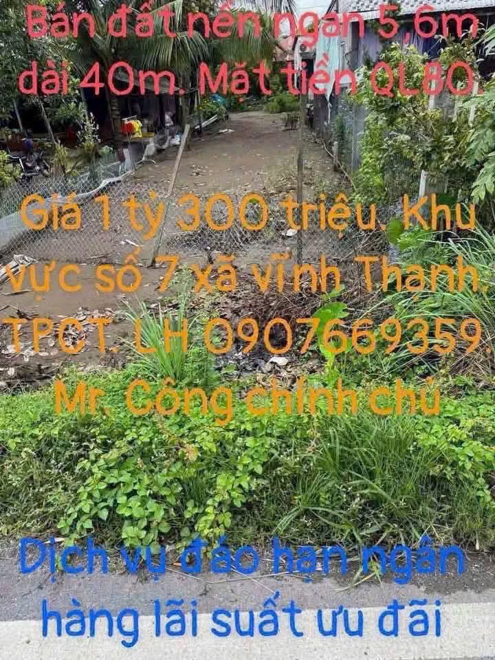 Bán đất nền mặt tiền Quốc lộ 80, 5,6x40m, giá 1,3 tỷ, Xã Vĩnh Thạnh, Cần Thơ - Ảnh thu nhỏ 2
