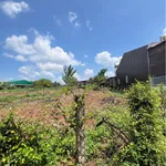 Bán lô đất 5x29m (145m2), thổ cư 50m2, sổ hồng riêng, giá 799 triệu tại Ea Kao, Đắk Lắk - Ảnh thu nhỏ 4