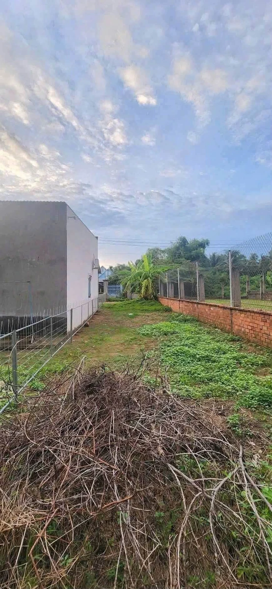 Bán đất An Hội 151m² 930 triệu Nhà Bè - Ảnh thu nhỏ 2