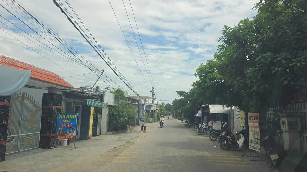 Bán đất thổ cư Xuân Ổ Huế 100m2 chỉ 465 triệu - Ảnh thu nhỏ 3