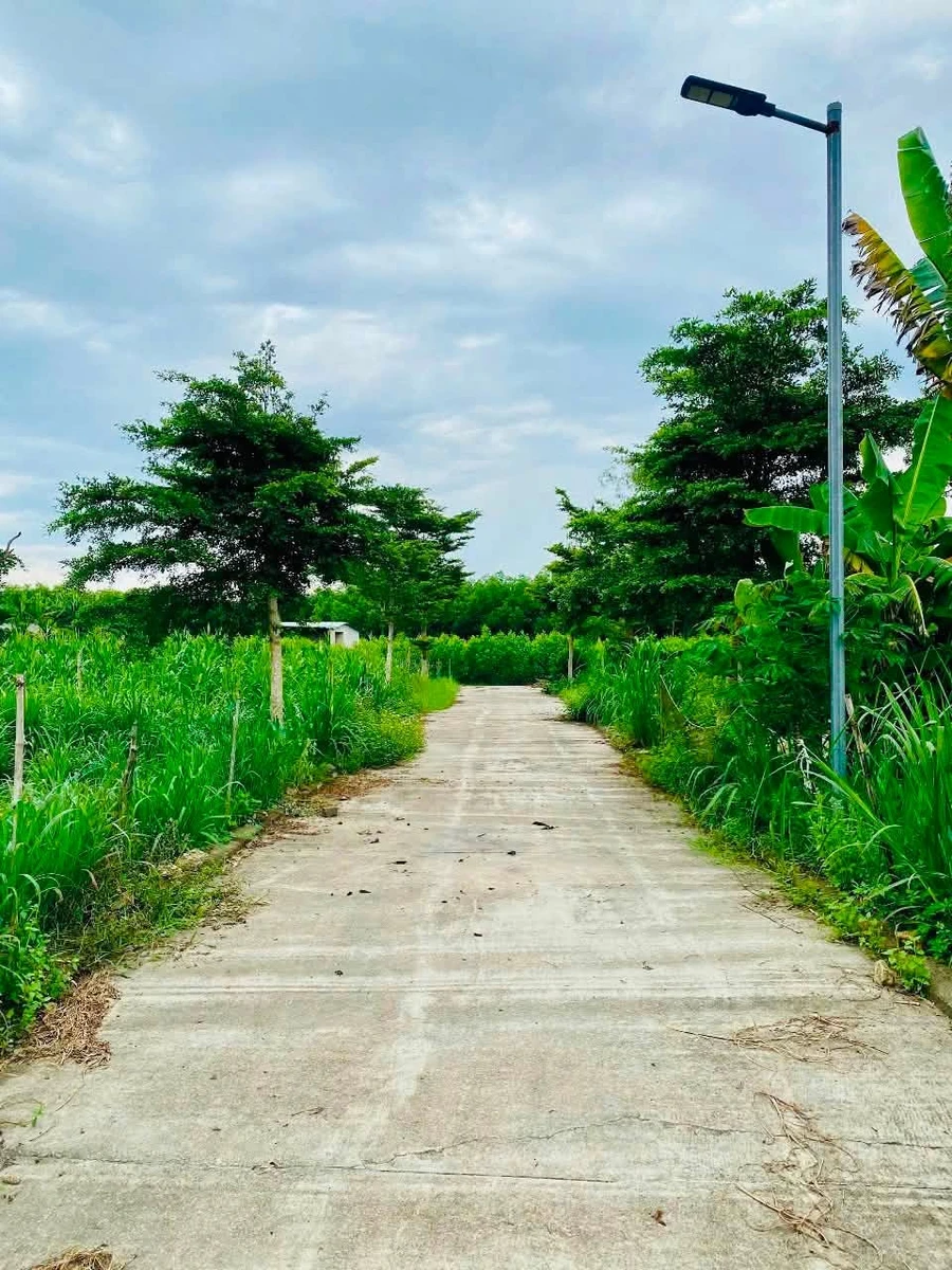 Bán lô đất Nghĩa Thuận 100m², Thủ Đức, 220 triệu - Ảnh thu nhỏ 2