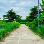 Bán lô đất Nghĩa Thuận 100m², Thủ Đức, 220 triệu - Ảnh thu nhỏ 2