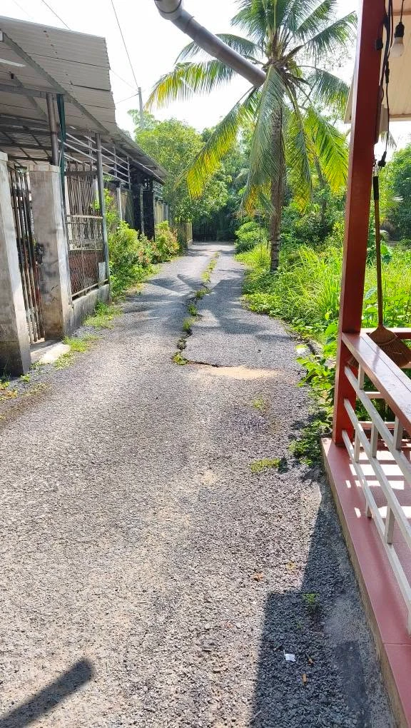 Bán đất 1.304m2 Hậu Giang tặng căn nhà - Ảnh 1