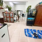 Bán nhà Biên Hòa Tân Phong 173m² gần Chợ 26 - 4,6 tỷ - Ảnh thu nhỏ 2