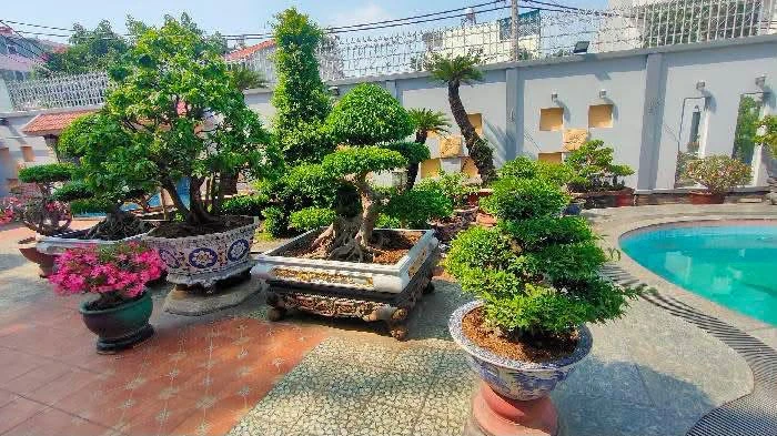 Bán biệt thự nghỉ dưỡng 1000m2 có hồ bơi đường Hồ Bá Phấn, Thủ Đức, giá 81 tỷ - Ảnh thu nhỏ 4