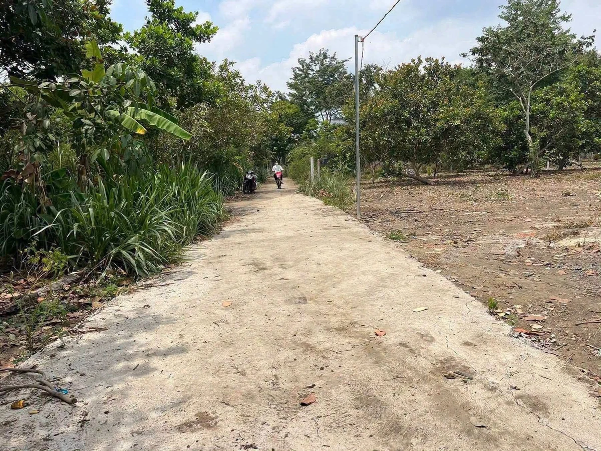 Bán đất nền 8x50 (100m² thổ cư) tại Bù Đốp, giá 180 triệu - Ảnh 1
