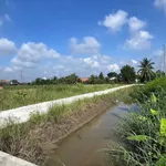 Bán đất thổ cư 5x29m An Lục Châu Thành Long An - Ảnh thu nhỏ 2