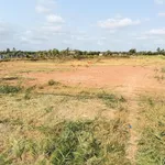 Chính chủ bán gấp 5600m2 đường Tỉnh 881 nhựa 10m, cách Phà Mỹ An 1km,giá 1tr160/m2 - Ảnh thu nhỏ 7