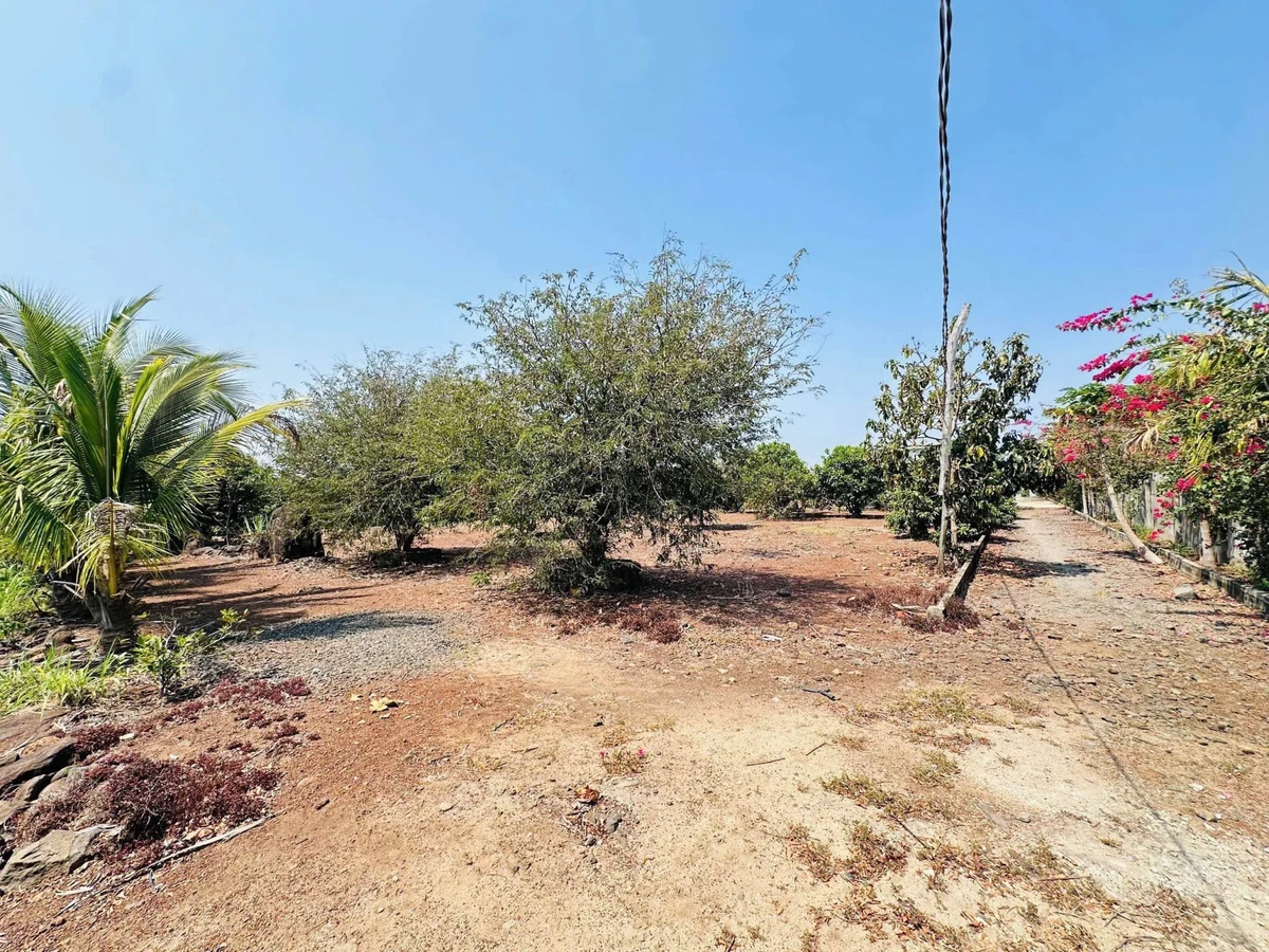 Bán đất vườn 6,4 sào view ruộng Hoà Khánh Bà Rịa 3,99 tỷ - Ảnh thu nhỏ 3