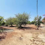 Bán đất vườn 6,4 sào view ruộng Hoà Khánh Bà Rịa 3,99 tỷ - Ảnh thu nhỏ 3