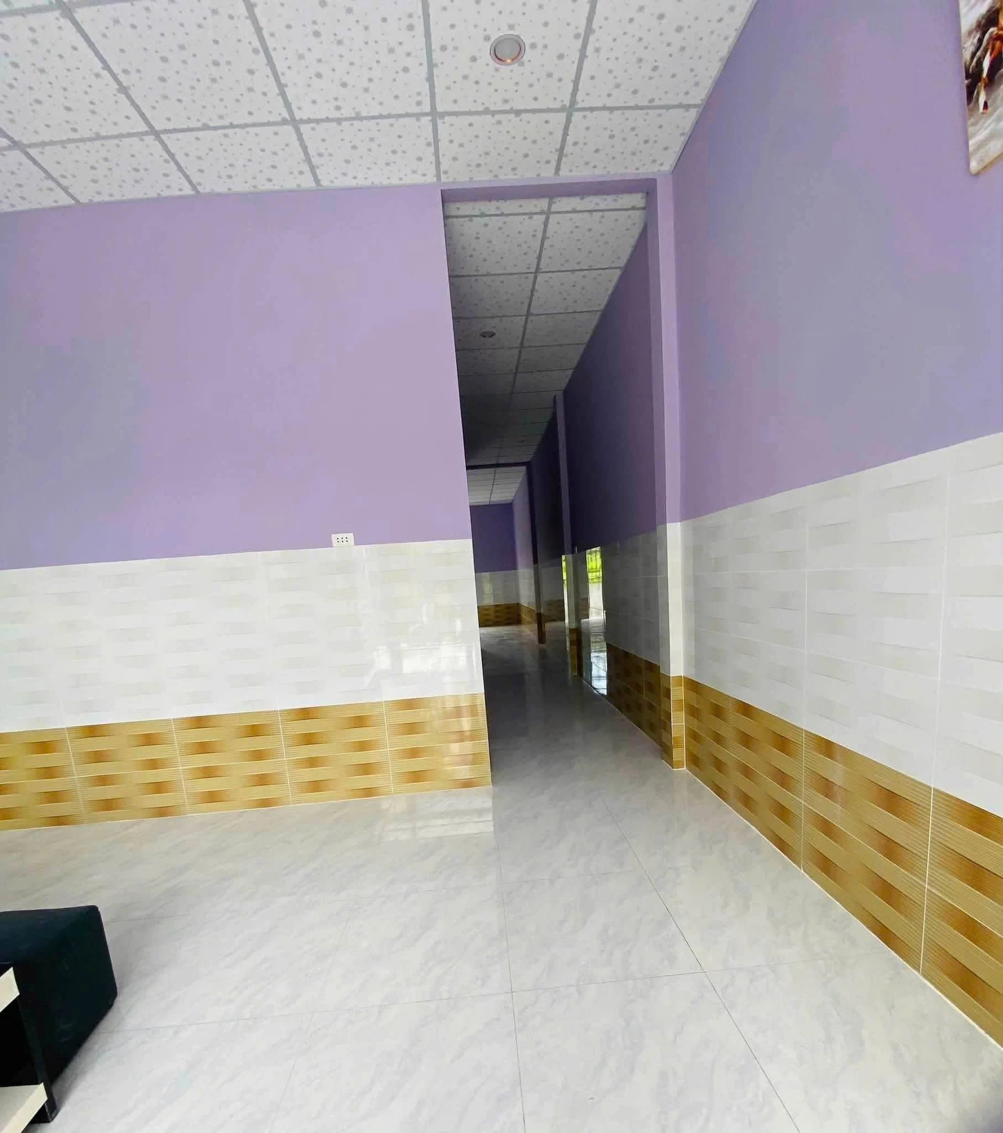 Bán nhà cấp 4 117m² Nhựt Chánh, Bến Lức, Long An - Ảnh 1