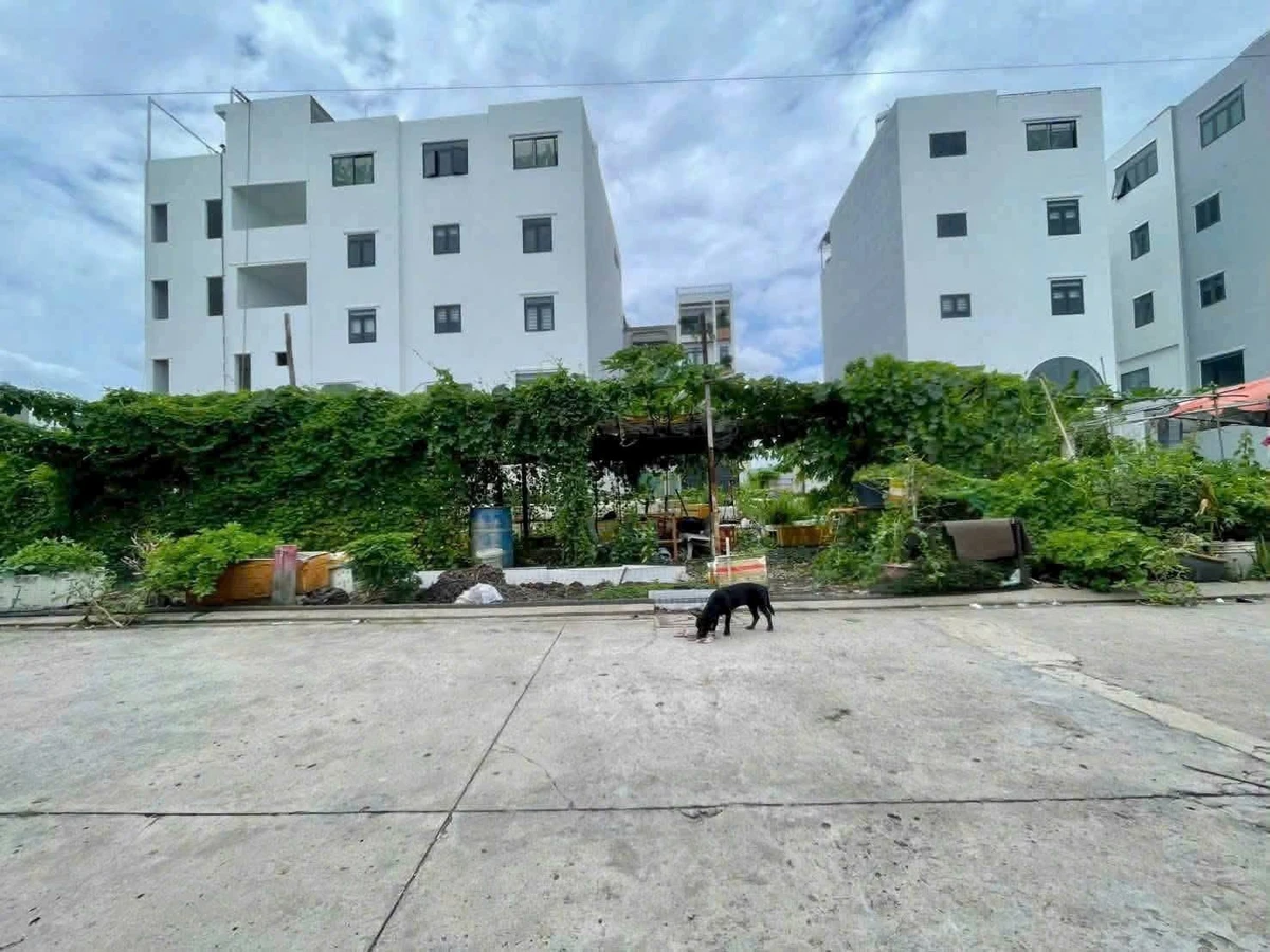 Bán đất SHR 64m2 Thạnh Xuân 25, Quận 12 - 3 tỷ 150 - Ảnh thu nhỏ 5