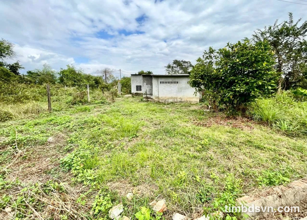 Bán đất mặt tiền TL2 Diên Thọ 500m², 1,1 tỷ - Ảnh thu nhỏ 5