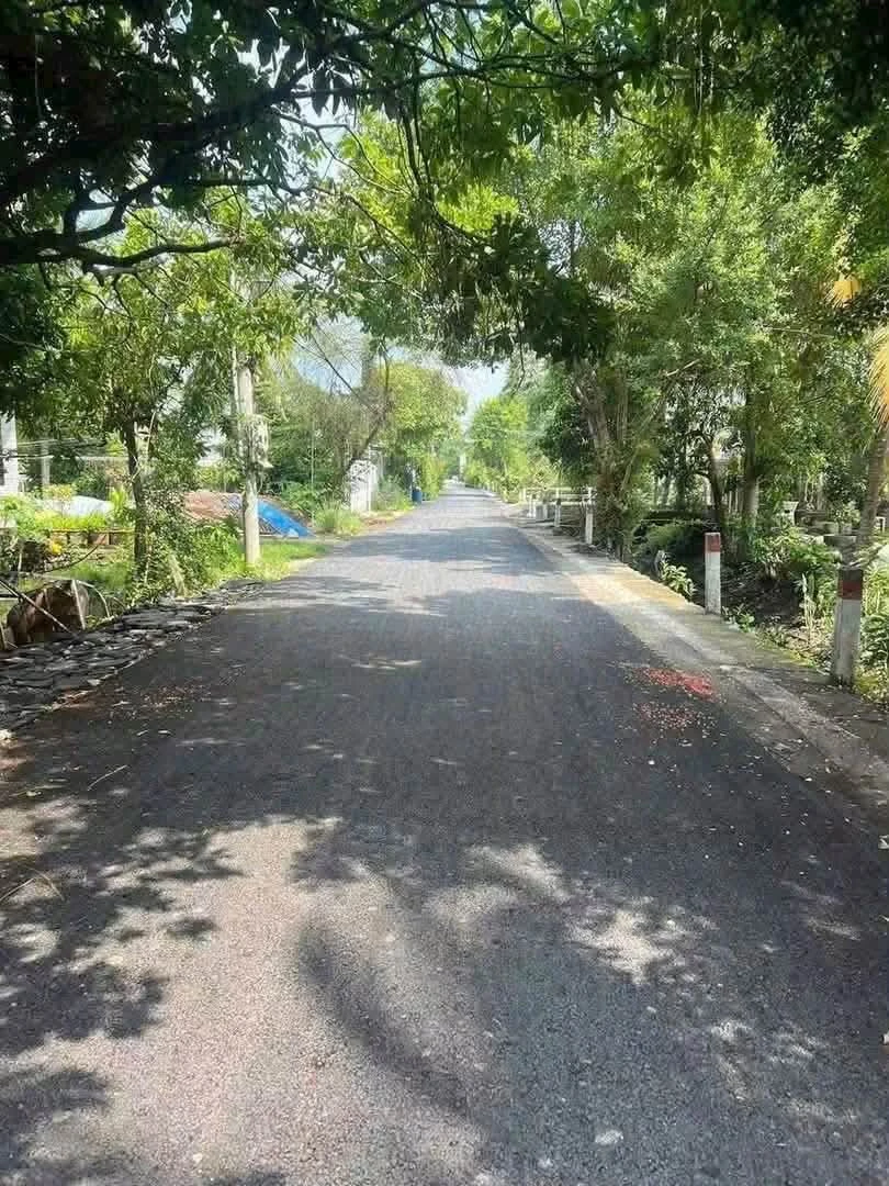 Bán đất An Sơn Thuận An 127m2, 1,95 tỷ - Ảnh 1
