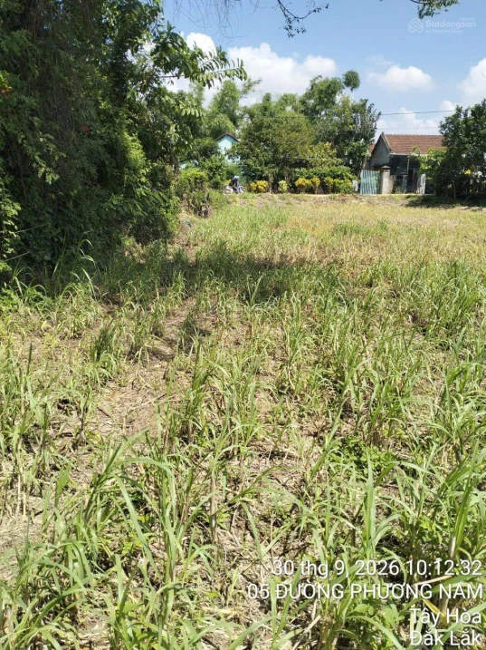 Đất thổ cư nở hậu Hòa Phong, Tây Hòa 329m² (100m² ONT), ngang 8.7m hậu 12m, gần QL29 - Ảnh thu nhỏ 3