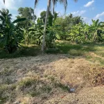 Bán đất tại xã Phú Quới, huyện Long Hồ, Vĩnh Long, giá siêu hời 3,9 tỷ, 1169,2 m2 - Ảnh thu nhỏ 10