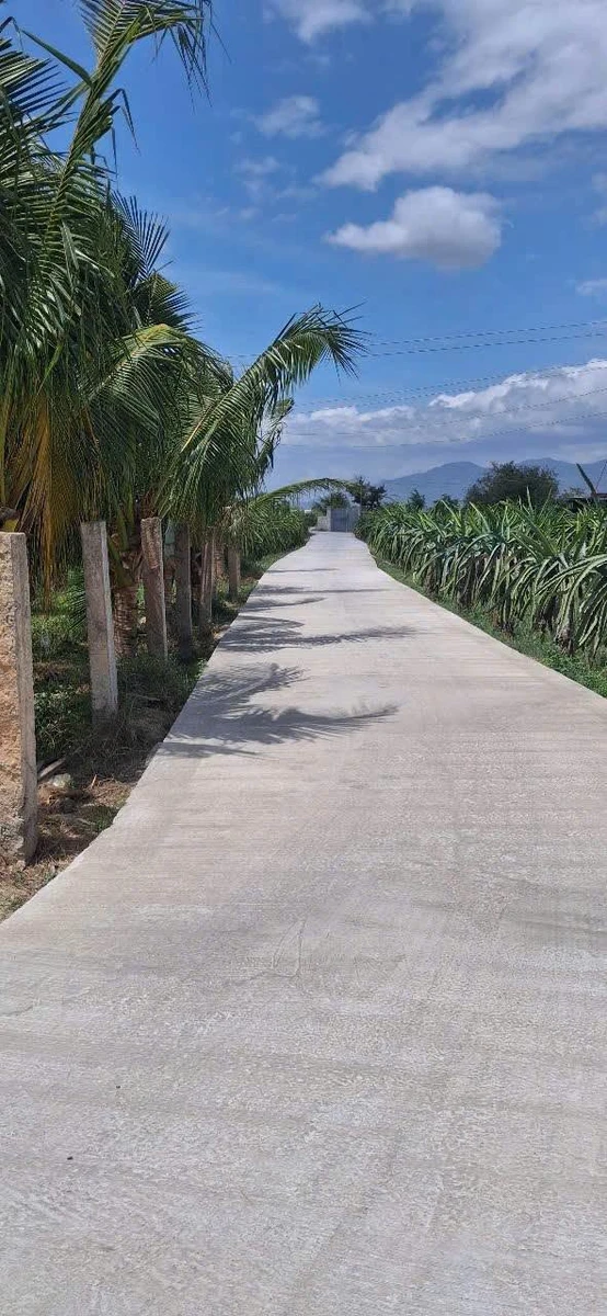Bán đất 1300m² trồng cây ăn trái Hàm Liêm 850 triệu - Ảnh 1