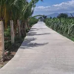 Bán đất 1300m² trồng cây ăn trái Hàm Liêm 850 triệu - Ảnh thu nhỏ 1