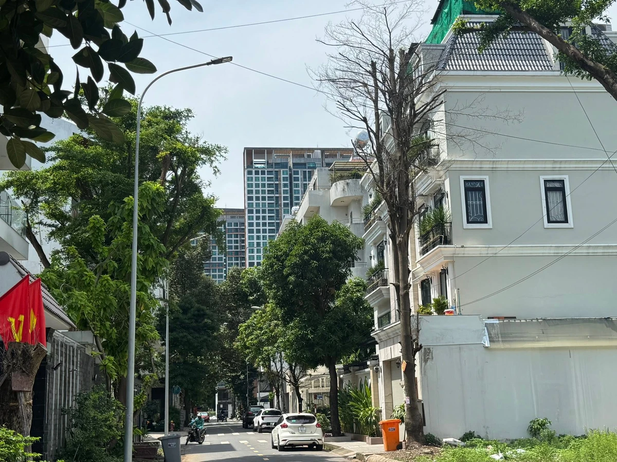 Bán mặt tiền 270m2 Bát Nàn Đảo Kim Cương Q2 - Ảnh thu nhỏ 3