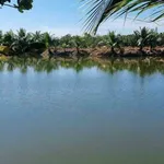 Bán đất 48.000m2 tại xã Phú Lý, Đồng Nai, 11 tỷ 500 triệu - Ảnh thu nhỏ 3