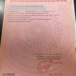 Bán đất 200m² gần KCN Becamex Bình Dương, 390 triệu - Ảnh thu nhỏ 4