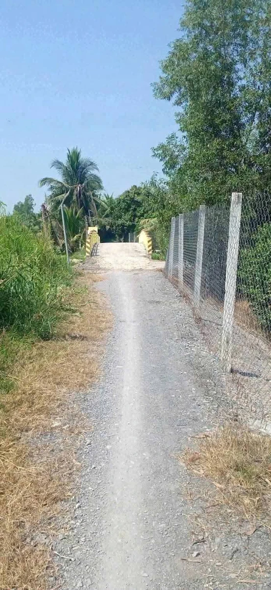 Bán 4800m2 đất vườn trồng dừa, chanh, ổi giá 1,9 tỷ tại xã Thạnh Lợi, Tây Ninh - Ảnh thu nhỏ 3