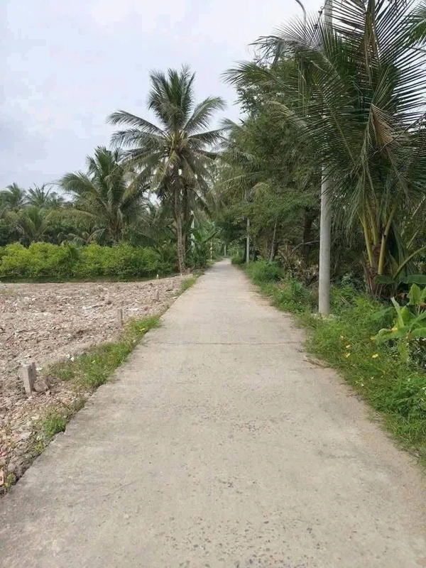 Bán 4 nền đất mặt tiền Đìa Thùng Đồng Tháp 90m² giá 6xx triệu