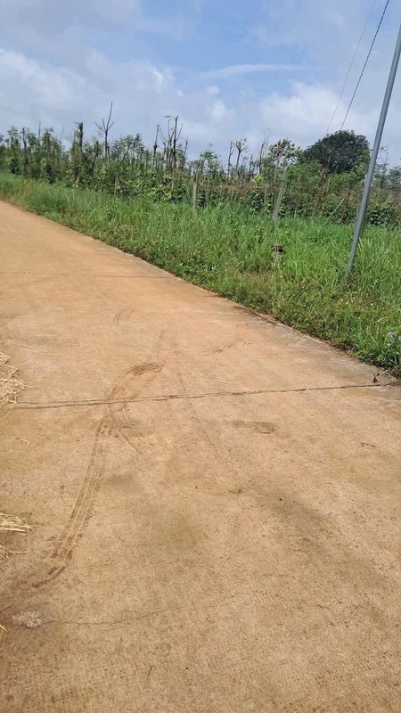 Bán đất 20x27 (540m²) mặt đường Lâm Đồng giá 390 triệu