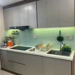 Cho thuê căn hộ Lakeside KĐT Chí Linh 75m2 2PN 2WC full nội thất giá 7 triệu/tháng - Ảnh thu nhỏ 4