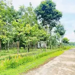 Bán đất Chơn Thành 1000m² giá 590 triệu - Ảnh thu nhỏ 2