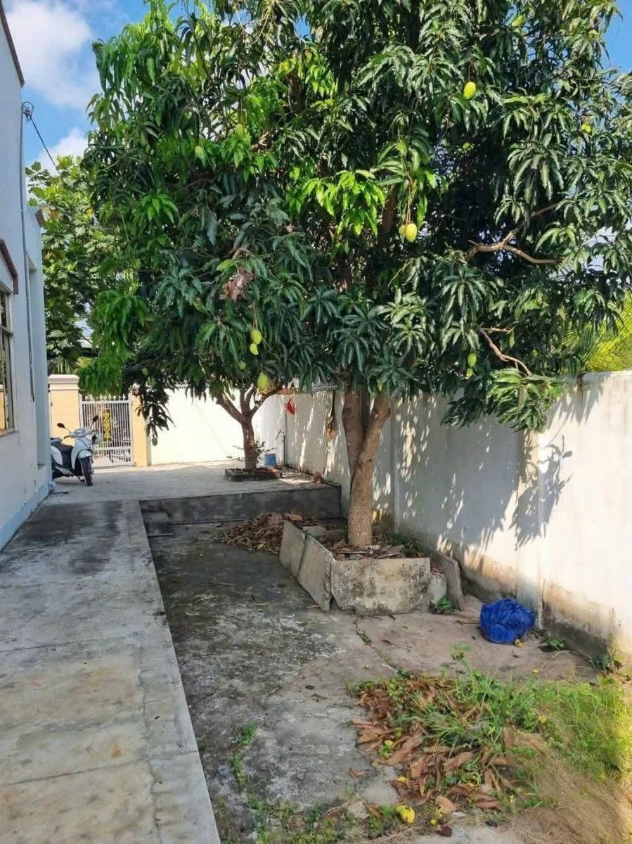 Bán nhà lầu Phú Hưng 250m² 1 tỷ 200 triệu - Ảnh thu nhỏ 3