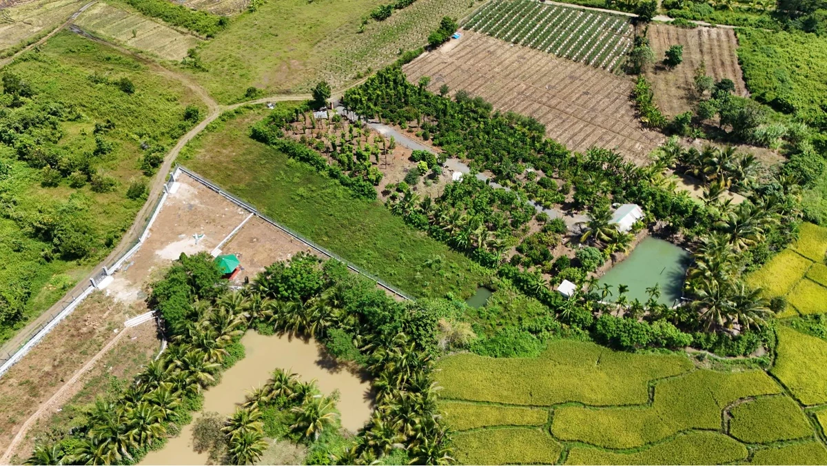 Bán 2,5 sào đất view Bến Mỹ Thuận, 1 tỷ 90 triệu - Ảnh thu nhỏ 3