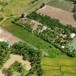 Bán 2,5 sào đất view Bến Mỹ Thuận, 1 tỷ 90 triệu - Ảnh thu nhỏ 3