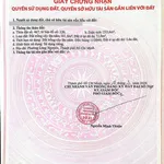 Bán đất 6x42m, 72m2 thổ cư, giá 1,33 tỷ tại An Điền, Bến Cát, Bình Dương - Ảnh thu nhỏ 4