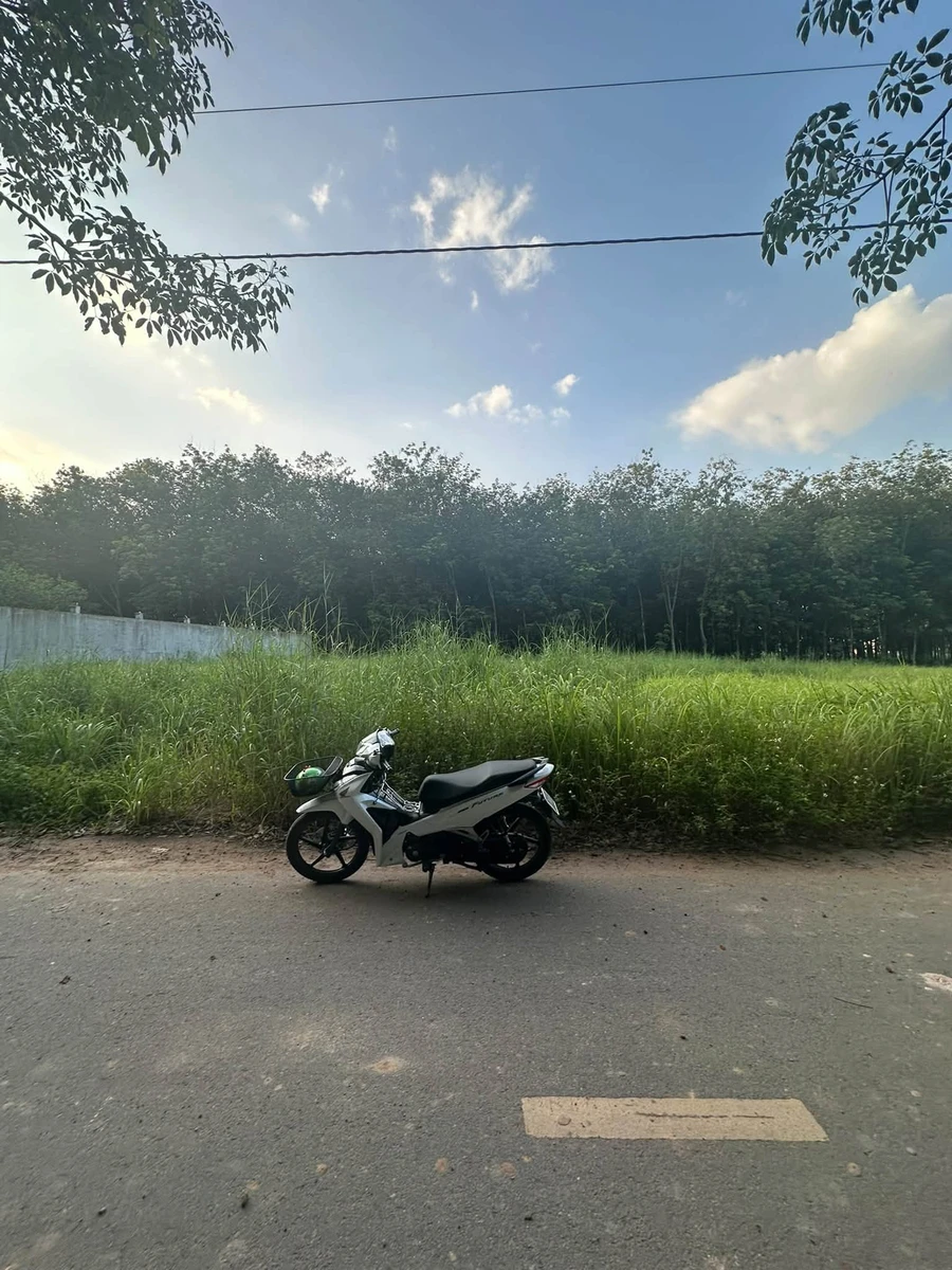Bán đất Bình Mỹ 80m2, giá 3 tỷ, Tân Bình - Ảnh thu nhỏ 2